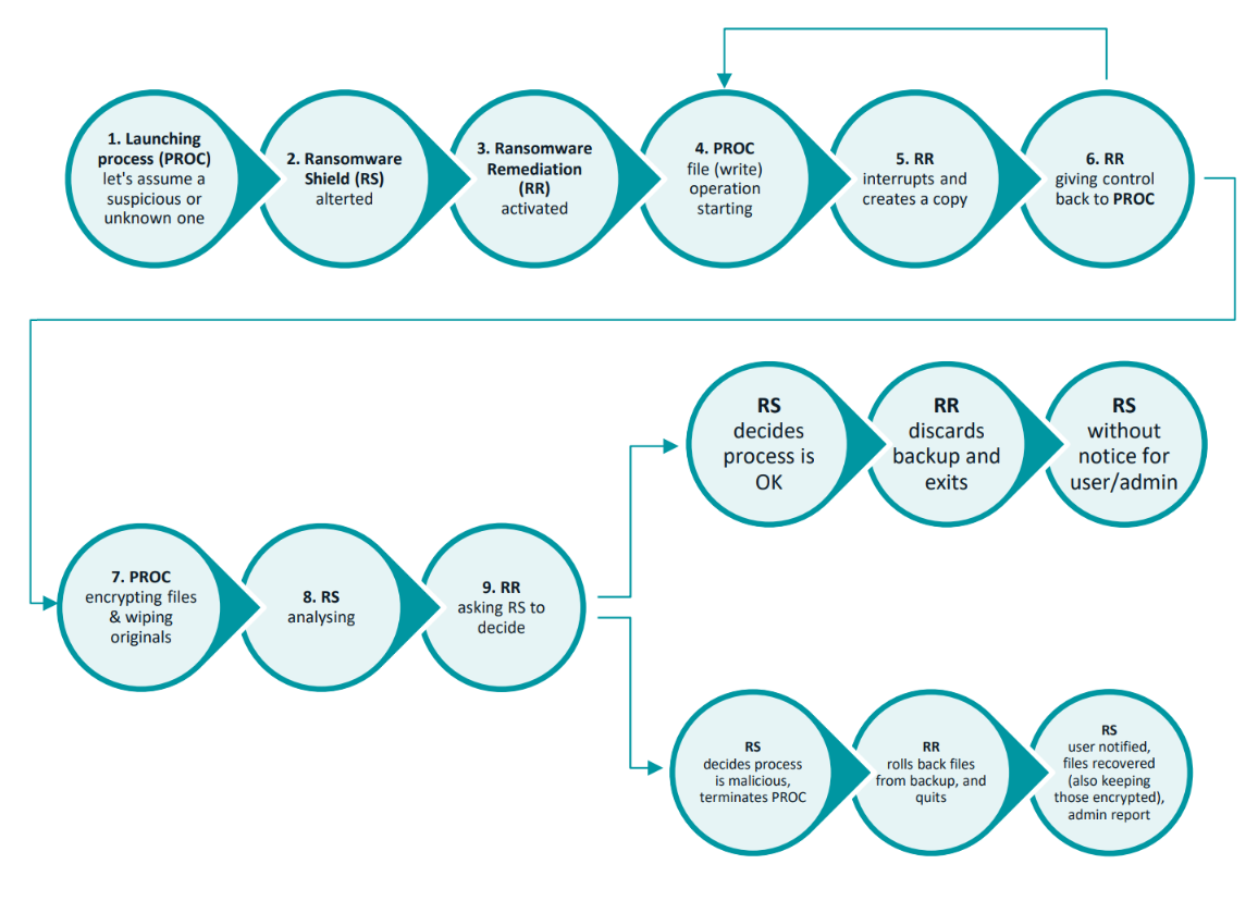 ESET_Ransomware_Remediation_tree