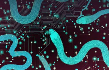 2025 12 11 MuddyWater